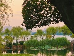-无锡蠡湖国家湿地公园-蠡园