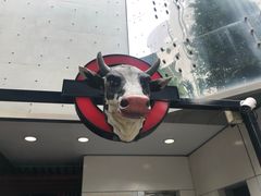 特色牛头头-Red Rock(原宿店)