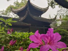 -岳麓书院