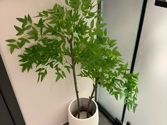 -成都ins星空塔酒店(春熙路天府广场店)