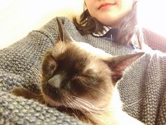 -猫和宫(六道口店)
