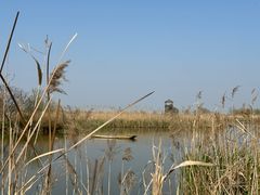 -盐城丹顶鹤湿地生态旅游区