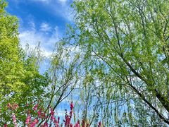 -永定河休闲森林公园