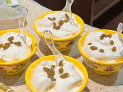 -九寨特色牦牛肉汤锅 羊肉汤锅