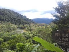 -呀诺达热带雨林