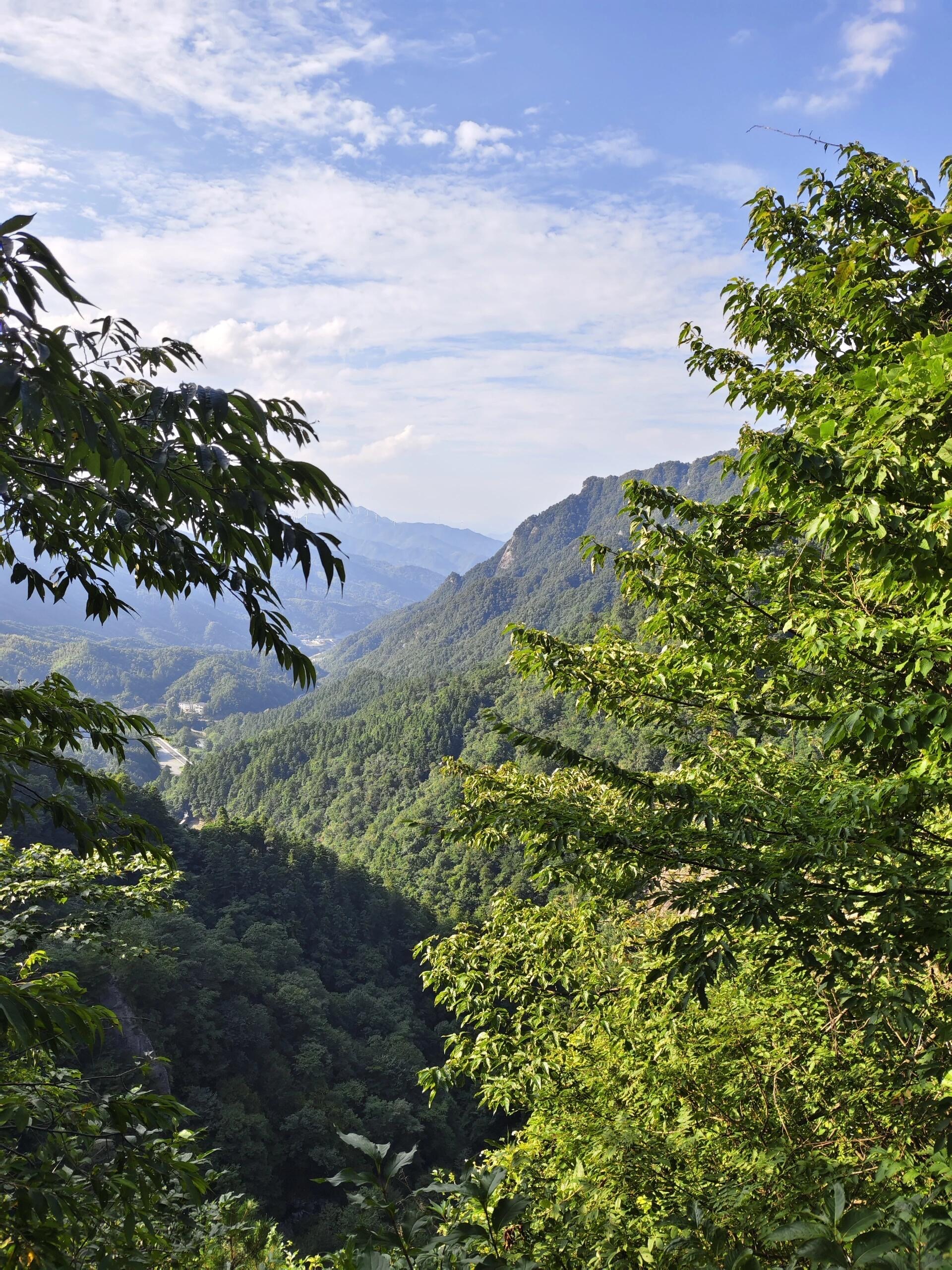 华东地区最大的一片原始森林一一马鬃岭