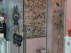 -三花喵·撸猫购宠·宠物生活馆(虹桥南丰城店)