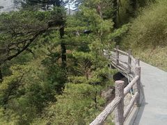 -金辉·天鹅湾