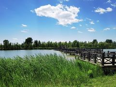 -野鸭湖国家湿地公园