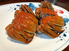 -欢乐蟹庄·精品农家乐(阳澄湖莲花岛店)