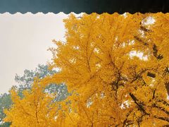 -红螺寺