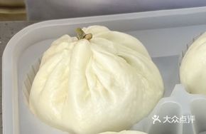 Vegetable and Meat Bun (Single)