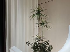 -鲸落SPA(番禺长隆店)