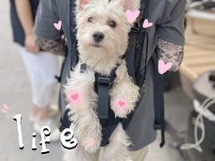 -熊小胖宠物生活馆(天华园店)