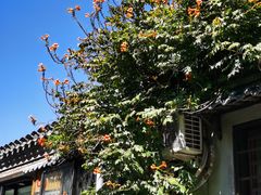 -新川面馆(新街口起源店)