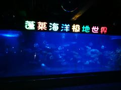 -蓬莱欧乐堡海洋极地世界