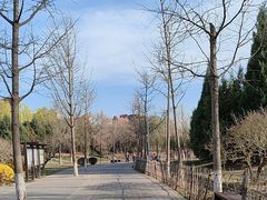 -东升八家郊野公园