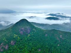 -梧桐山风景名胜区