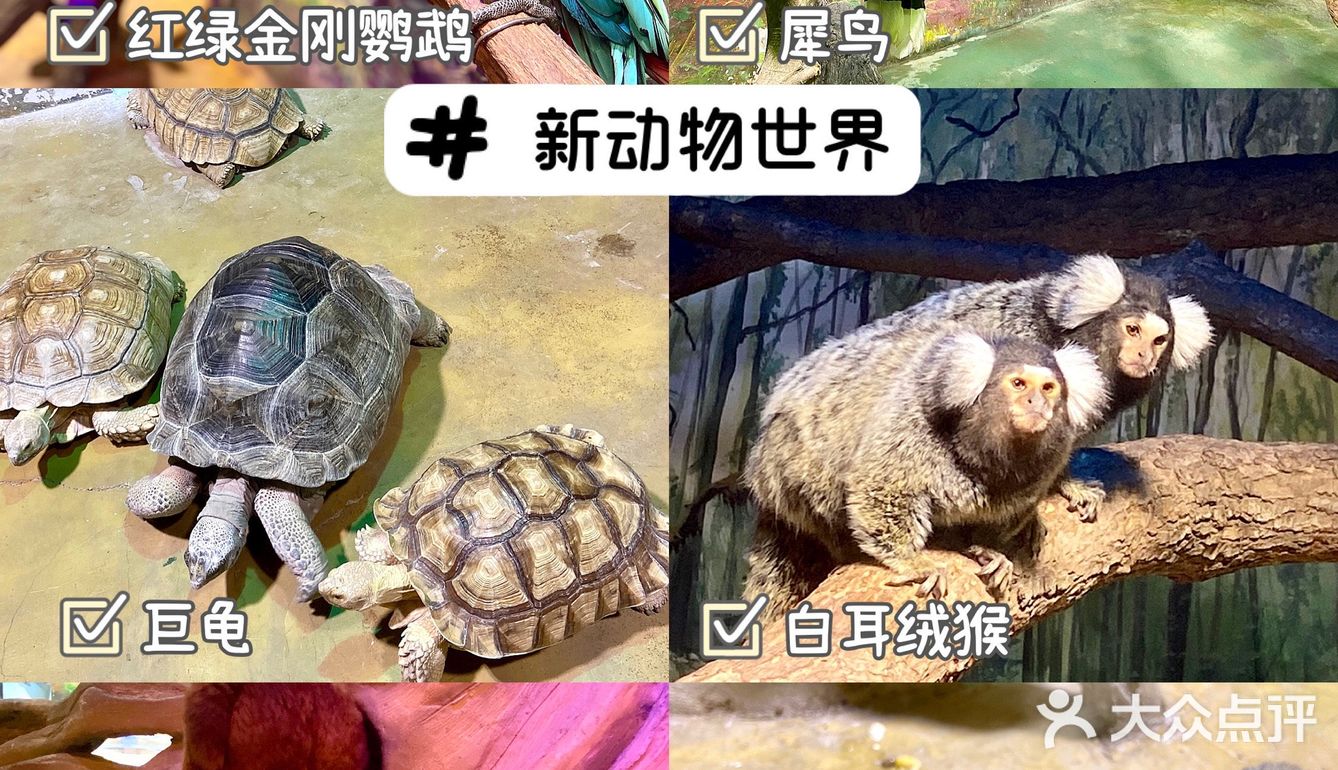 武汉溜娃好去处🔥孩子最爱‼️建议收藏㊙️