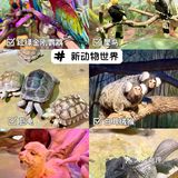 武汉溜娃好去处🔥孩子最爱‼️建议收藏㊙️