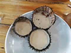 -蓝湾碧波·老字号·疍家非遗海上餐厅
