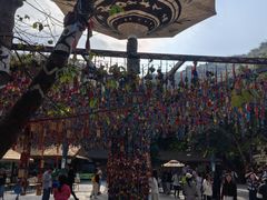 -西双版纳原始森林公园