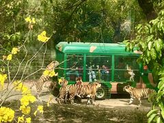 -深圳野生动物园