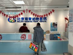 -北京观赏动物医院·24小时大型综合·猫专科·异宠专科