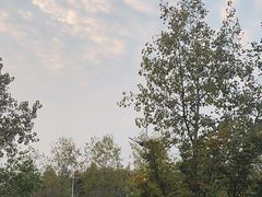 -宝荣鱼馆·临湖之宴(千岛湖店)