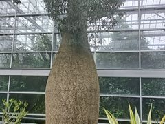 -南山植物园