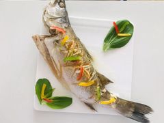 -好孕妈妈月嫂(哈尔滨总店)
