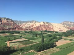 -德禄酸奶(莫家街店)