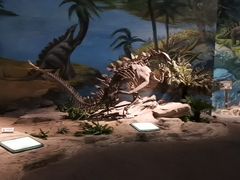 -自贡恐龙博物馆