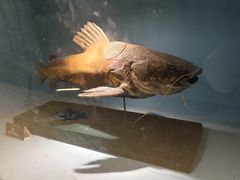 -常州海昌海洋探索馆