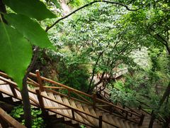 -大岭沟猕猴桃谷风景区