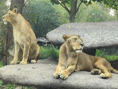 -北京野生动物园