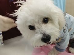 -北京观赏动物医院·24小时大型综合·猫专科·异宠专科