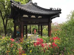 -南汇桃花村