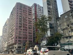 -油麻地果栏