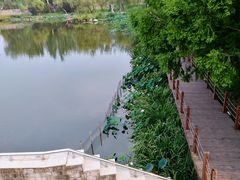 -稻香湖景欢乐岛温泉城堡