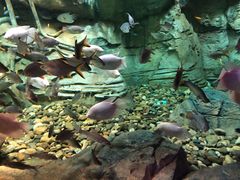 -波塞冬旅游度假区