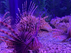 -波塞冬旅游度假区