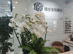 点击看大图 -组合发型