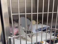 -美联众合动物医院·24h京西诊疗中心