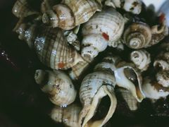 -胖大嫂渔家排档·全海景餐厅(渔村店)