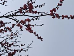 -南京市江宁方山