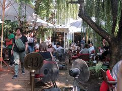 -Fern Forest Cafe
