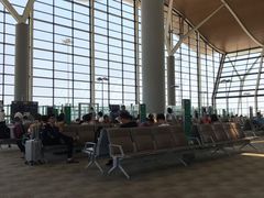 -上海浦东国际机场-T2航站楼