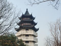 -扬州市茱萸湾风景区