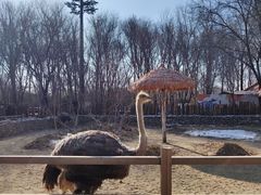 -北京野生动物园